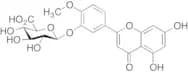 Diosmetin 3-O-β-D-Glucuronide