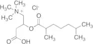 2,6-Dimethylheptanoyl D,L-Carnitine