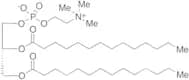 1,2-Dimyristoyl-sn-glycero-3-phosphocholine