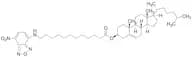 3-Dodecanoyl-NBD Cholesterol