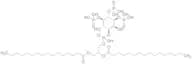 (2R)-3-(((((1S,2S,3R,4S,5S,6S)-2,6-Dihydroxy-3,4,5-tris(phosphonooxy)cyclohexyl)oxy)(hydroxy)phosp…