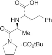 Enalaprilat tert-Butyl Ester