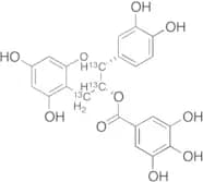 (-)-Epicatechin Gallate-13C3