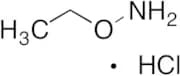 Ethoxyamine Hydrochloride