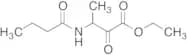 Ethyl 3-(Butanoylamino)-2-oxobutanoate