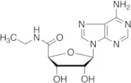 5’-Ethylcarboxamido Adenosine