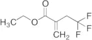 Ethyl 2-(2,2,2-trifluoroethyl)-2-propenoate