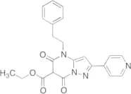Ethyl 5,7-dioxo-4-phenethyl-2-(pyridin-4-yl)-4,5,6,7-tetrahydropyrazolo[1,5-a]pyrimidine-6-carboxy…
