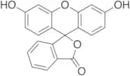 Fluorescein