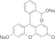 Fluorescein Sodium Salt