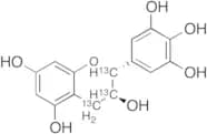 (+)-Gallocatechin-13C3