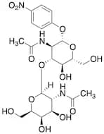 GalNAc-β-(1-3)GlcNAc-β-pNP
