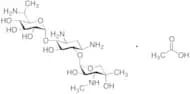 Gentamicin B1 Acetate Salt