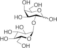 2-O-(α-D-Glucopyranosyl)-D-galactose