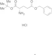 L-Glutamic Acid 1-(1,1-Dimethylethyl) 5-(Phenylmethyl) Ester Hydrochloride