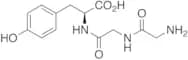 Glycylglycyl-L-tyrosine