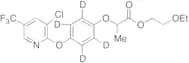Haloxyfop-etotyl-d4