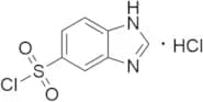 1h-1,3-benzodiazole-5-sulfonyl Chloride Hydrochloride