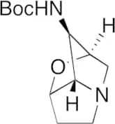 N-[(2R,3R,3aS,4S,6aS)-hexahydro-2,4-methano-4H-furo[3,2-b]pyrrol-3-yl]carbamic Acid 1,1-Dimethylet…
