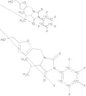 13C6-5-HMF-Val-PFPTH