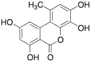 4-Hydroxy Alternariol