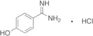 4-Hydroxybenzamidine, Hydrochloride