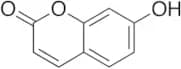 7-Hydroxy Coumarin