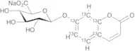 7-Hydroxy Coumarin-13C6 beta-D-Glucuronide