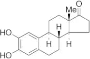 2-Hydroxy Estrone