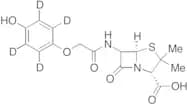 p-Hydroxypenicillin V-d4