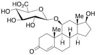 11β-Hydroxytestosterone 11-Glucuronide