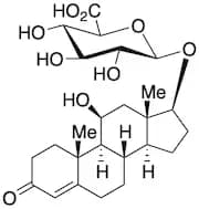 11β-Hydroxytestosterone 17-Glucuronide