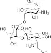 Hygromycin B Deuterated (d4 major)