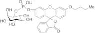D,L-myo-Inositol-1-(n-butylfluoresceinylphosphate) Lithium Salt, ~80%