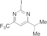 2-Iodo-4-(1-methylethyl)-6-(trifluoromethyl)pyrimidine