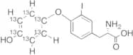 3-Iodo-L-thyronine-13C6