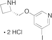 5-IODO-A-85380 Dihydrochloride