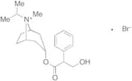 8-anti-Ipratropium Bromide