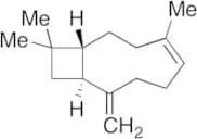 Isocaryophyllene (80%)