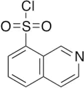 Isoquinoline-8-sulfonyl Chloride