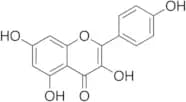 Kaempferol