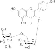 Kaempferol 3-O-b -Rutinoside (Nicotiflorin)