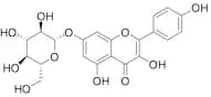 Kaempferol-7-O-β-D-glucoside