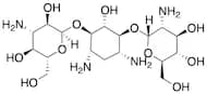 Kanamycin C