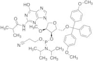 2'-OMe-ibu-G Phosphoramidite