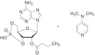 2'-O-Butyryladenosine 3',5'-cyclic phosphate DMAP