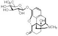 Oxymorphone 3-β-D-Glucuronide (1.0mg/ml in Acetonitrile)