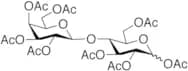 Lactose Octaacetate