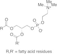 Lecithin (Technical Grade)