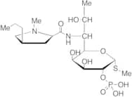 Lincomycin 2-Phosphate